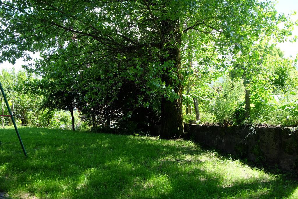 Gasthaus Alvores Do Tempo - Quinta De Turismo Rural Castro Daire Exterior foto