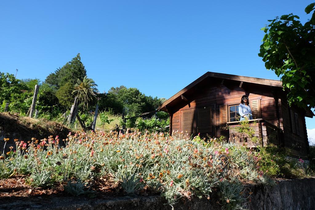 Gasthaus Alvores Do Tempo - Quinta De Turismo Rural Castro Daire Exterior foto