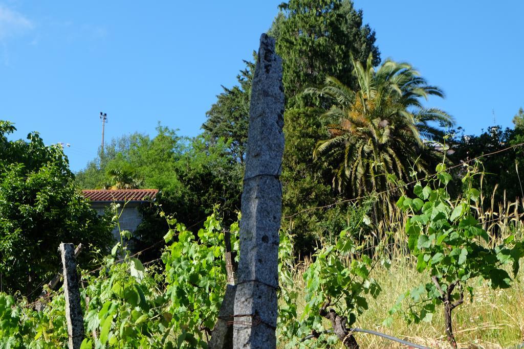 Gasthaus Alvores Do Tempo - Quinta De Turismo Rural Castro Daire Exterior foto