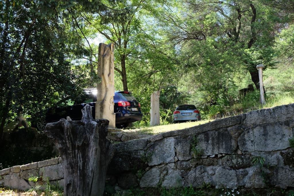 Gasthaus Alvores Do Tempo - Quinta De Turismo Rural Castro Daire Exterior foto