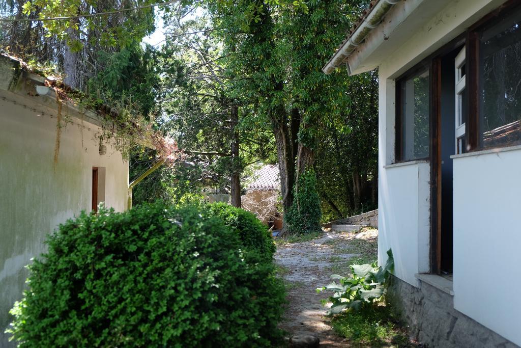 Gasthaus Alvores Do Tempo - Quinta De Turismo Rural Castro Daire Exterior foto