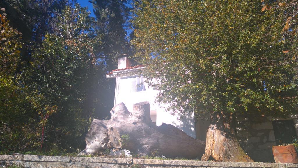 Gasthaus Alvores Do Tempo - Quinta De Turismo Rural Castro Daire Exterior foto